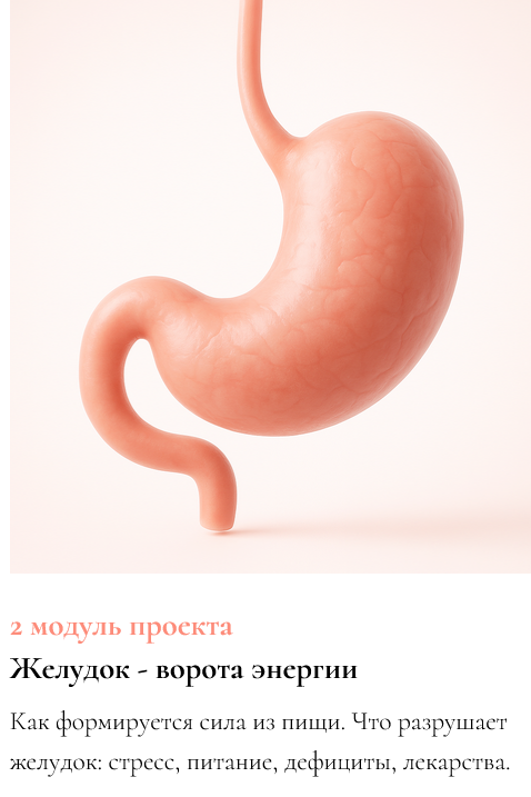 [Ксения Глинкина (Черная)] ЖКТ про Жизнь. 2 модуль_0.png